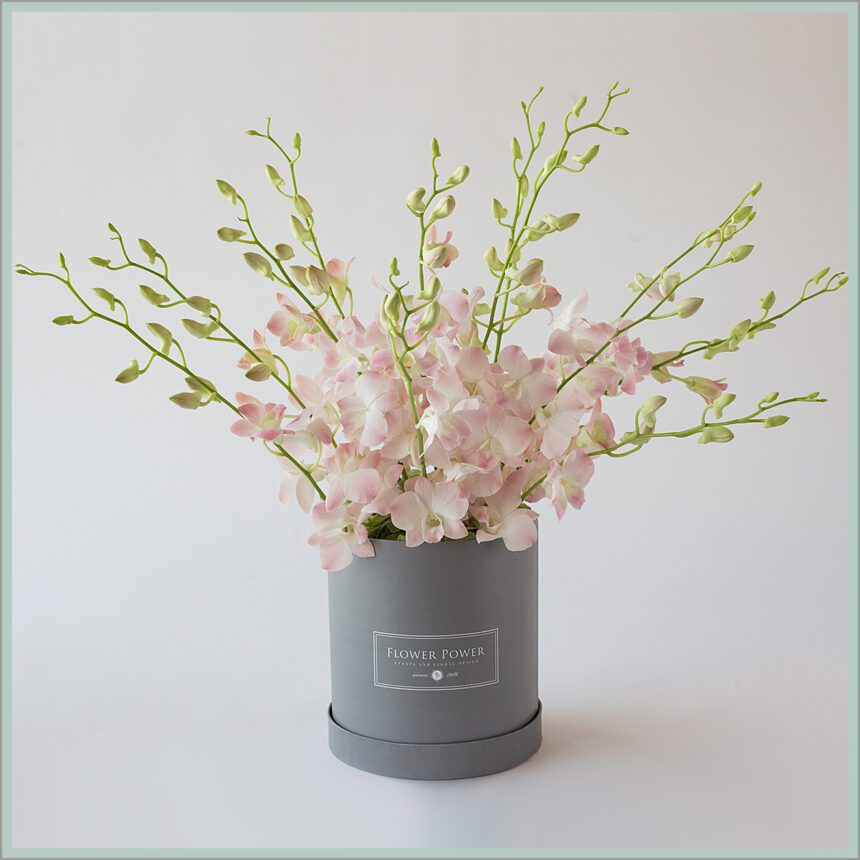 Flower Power Best Online Flowers Delivery in Egypt Send Flowers